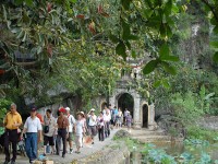 Bích động